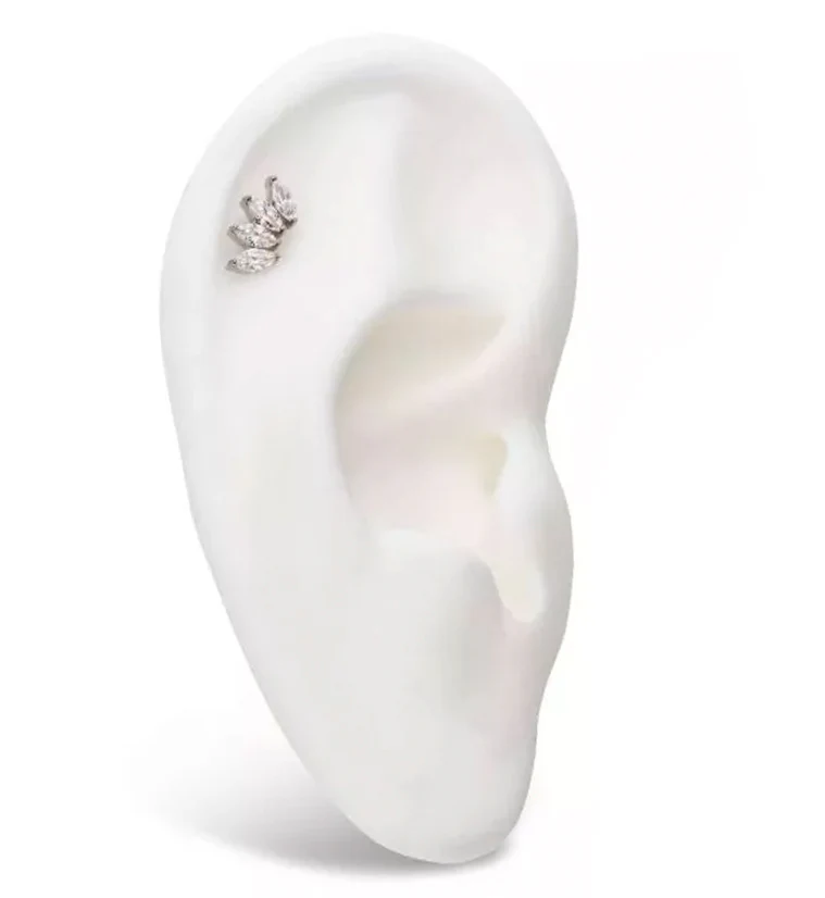 Quartet CZ Internally Threaded Titanium Top - Image 3