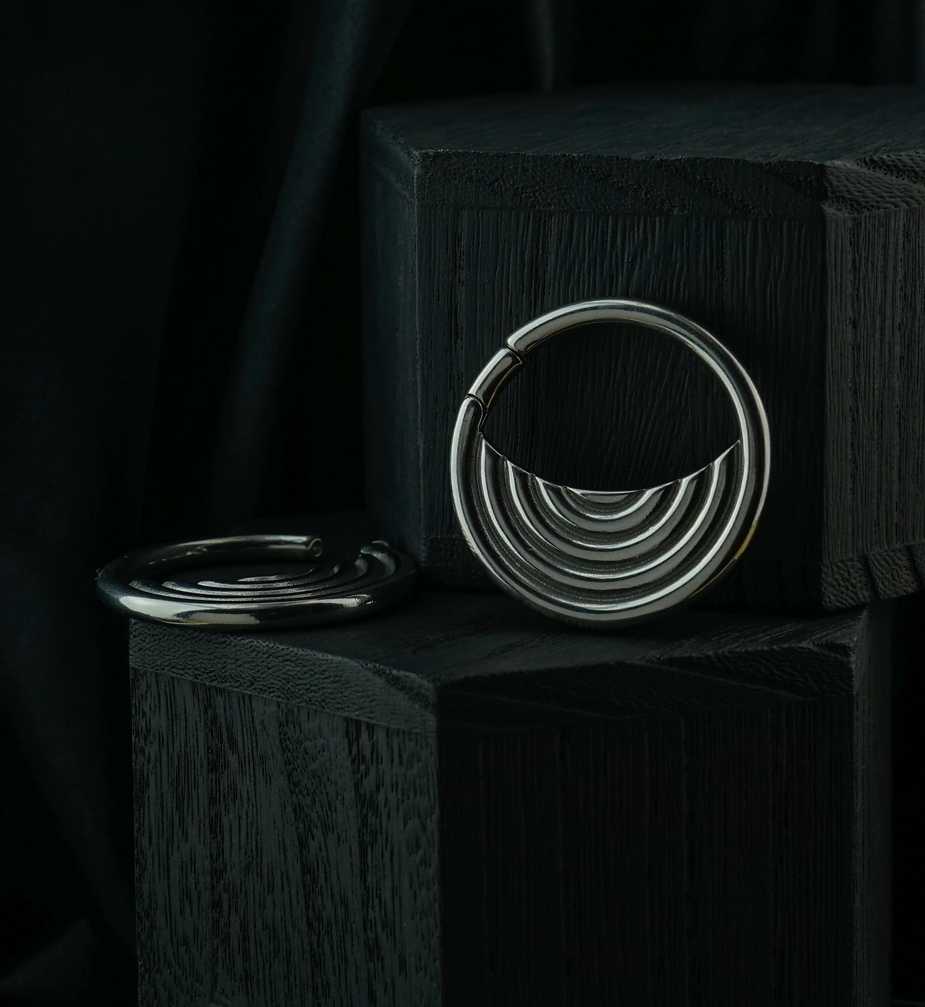 Radial Stainless Steel Hinged Ear Weights - Image 3