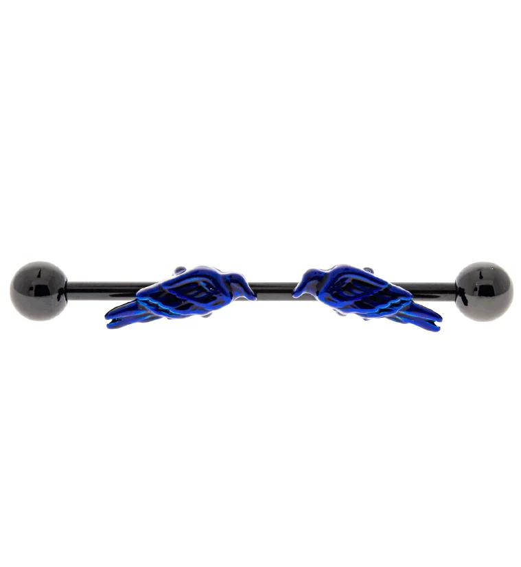 Raven Black & Blue Industrial Barbell