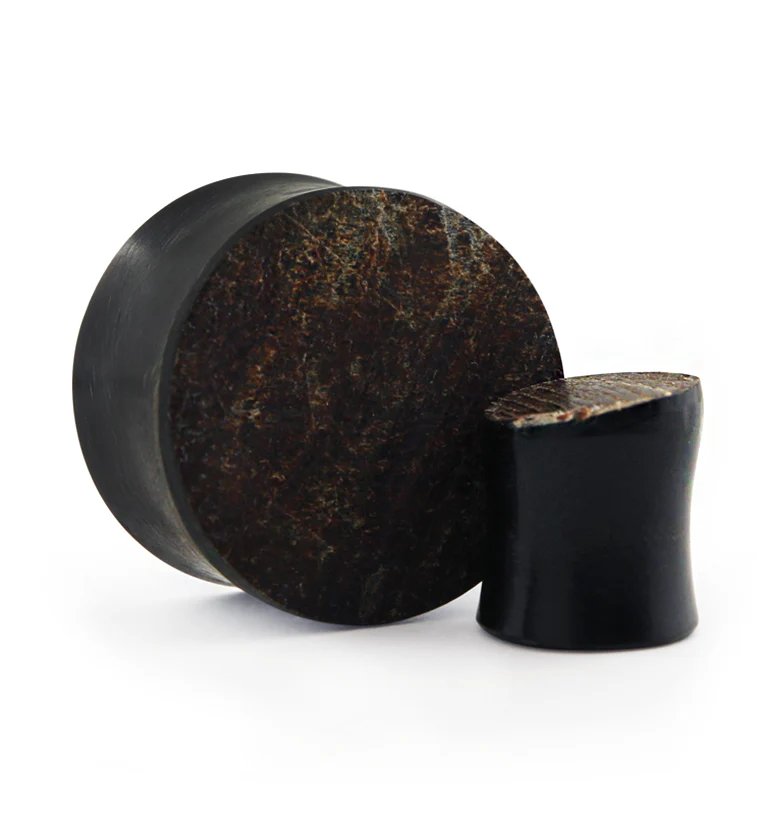 Raw Buffalo Horn Plugs - Image 11