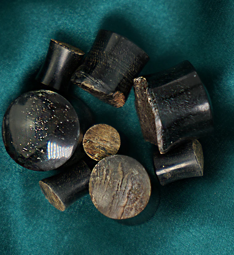Raw Buffalo Horn Plugs - Image 5