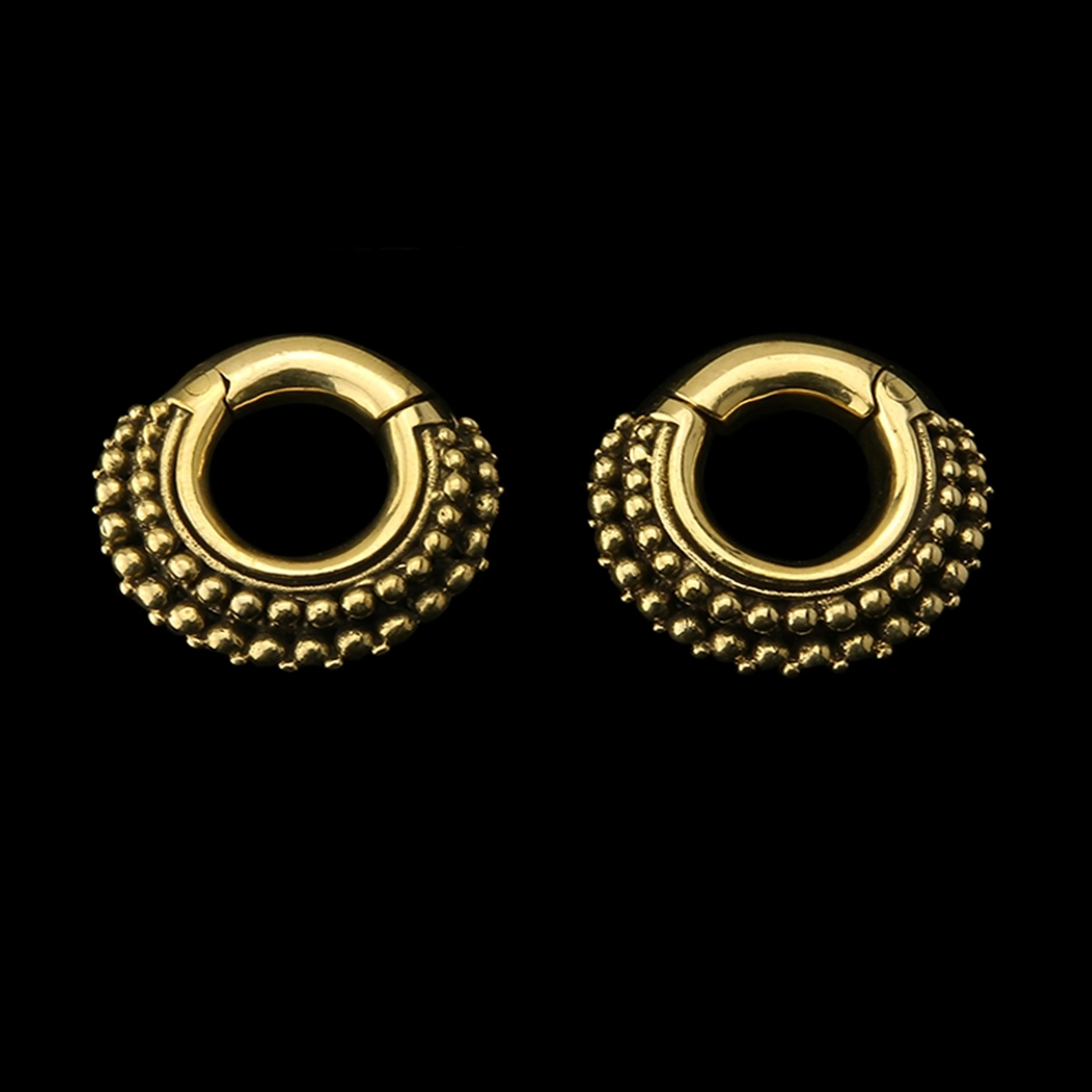 Reef Hinged Ear Weights