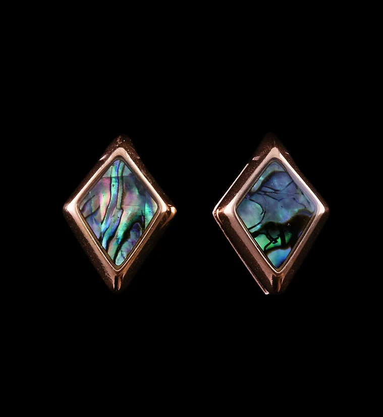 Rose Gold PVD Zircon Abalone Shell Ear Weights - Image 2