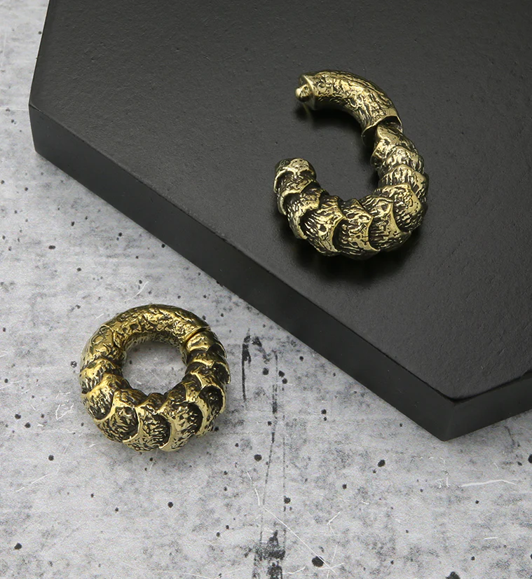 Scales Brass Hinged Ear Weights - Image 2