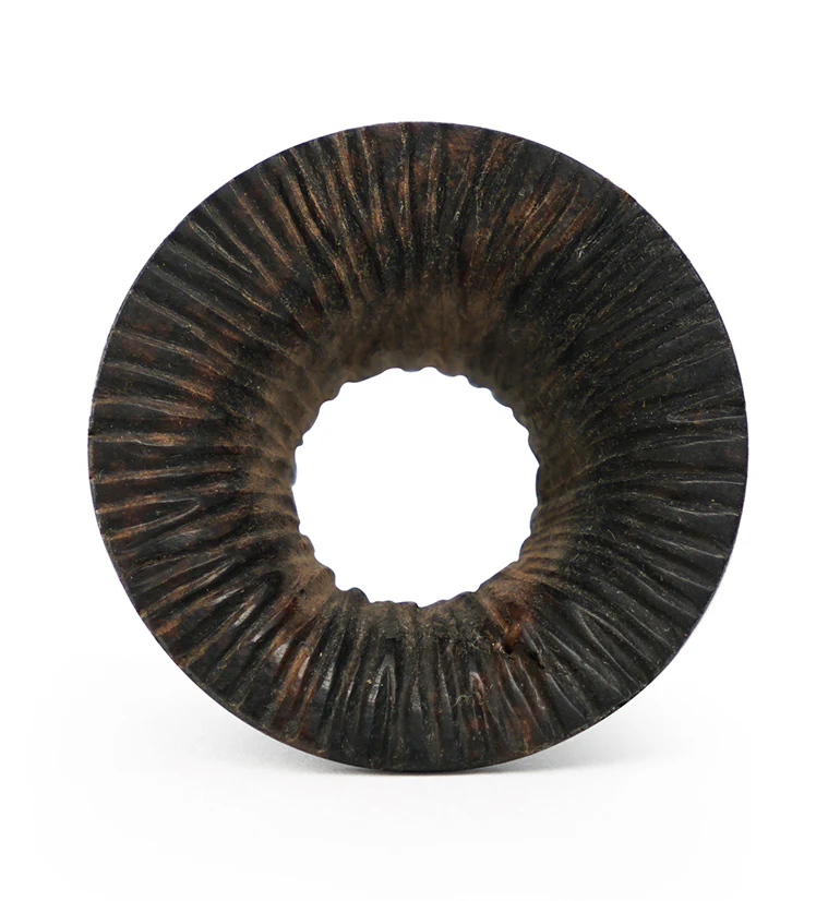 Score Areng Wood Mayan Flare Tunnel Plugs - Image 3