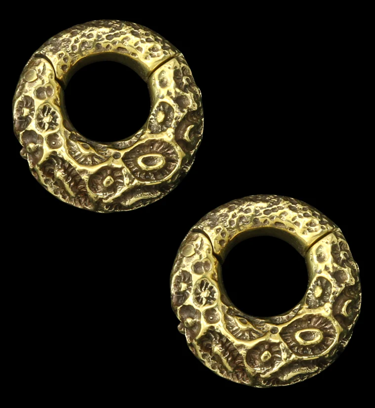 Sea Coral Brass Hinged Ear Weights
