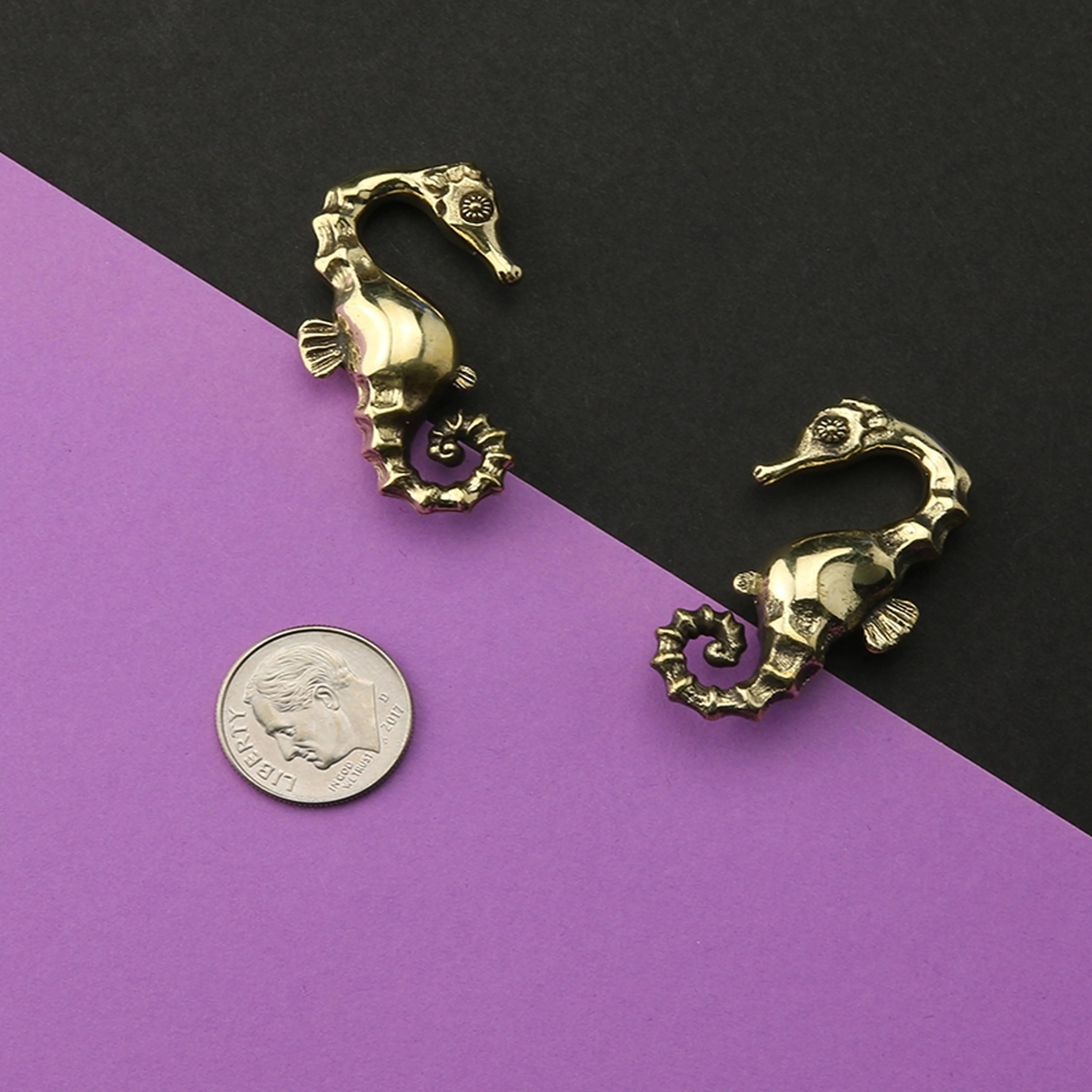 Seahorse Ear Weights - Image 3