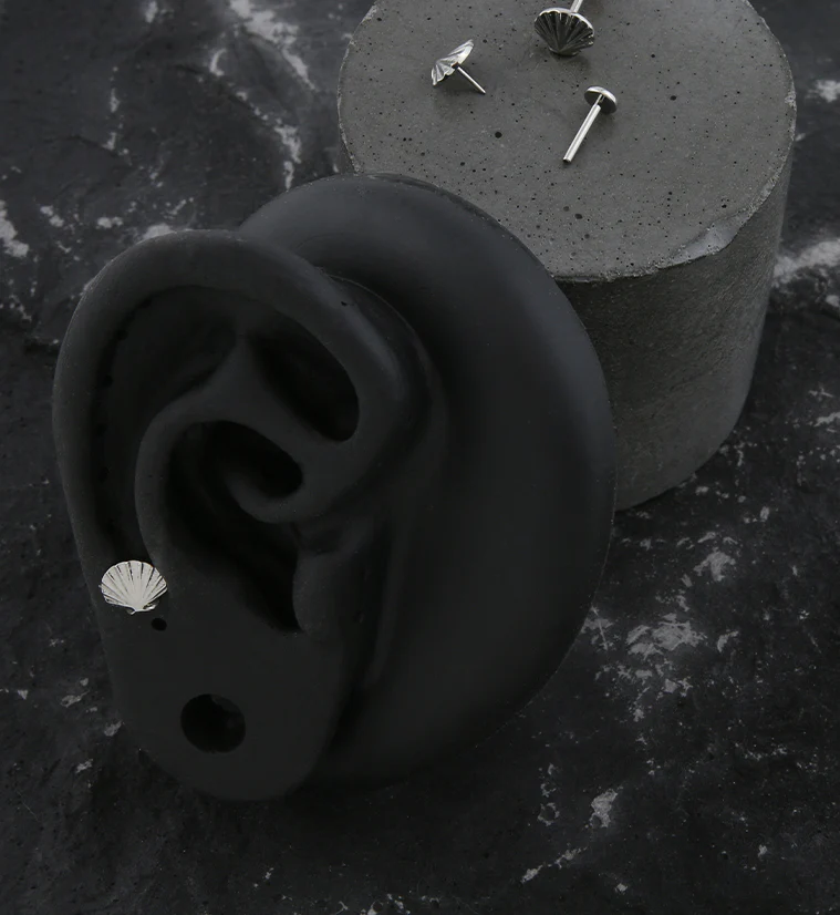 Seashell Threadless Titanium Labret - Image 2