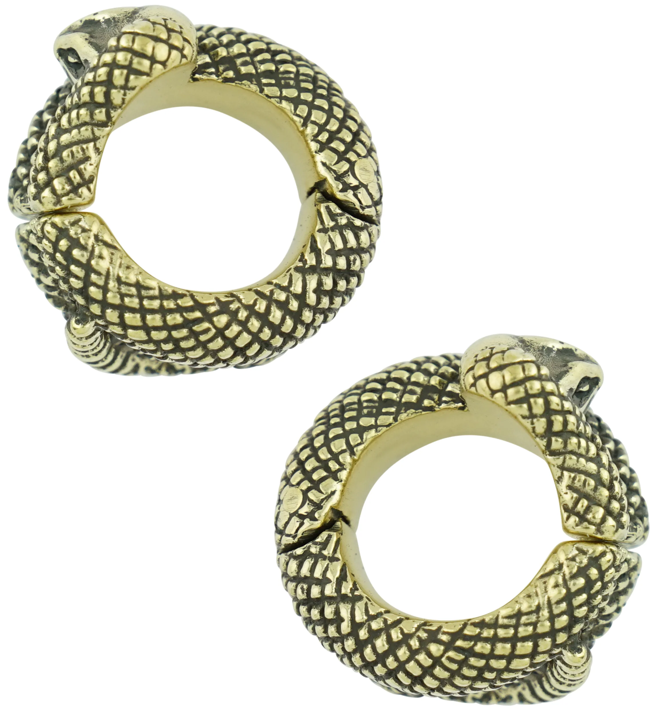 Serpent Coil Brass Hinged Stretched Ear Cuffs - Image 3