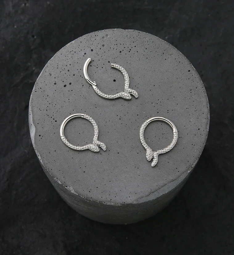 Snake Band Titanium Hinged Segment Ring - Image 2