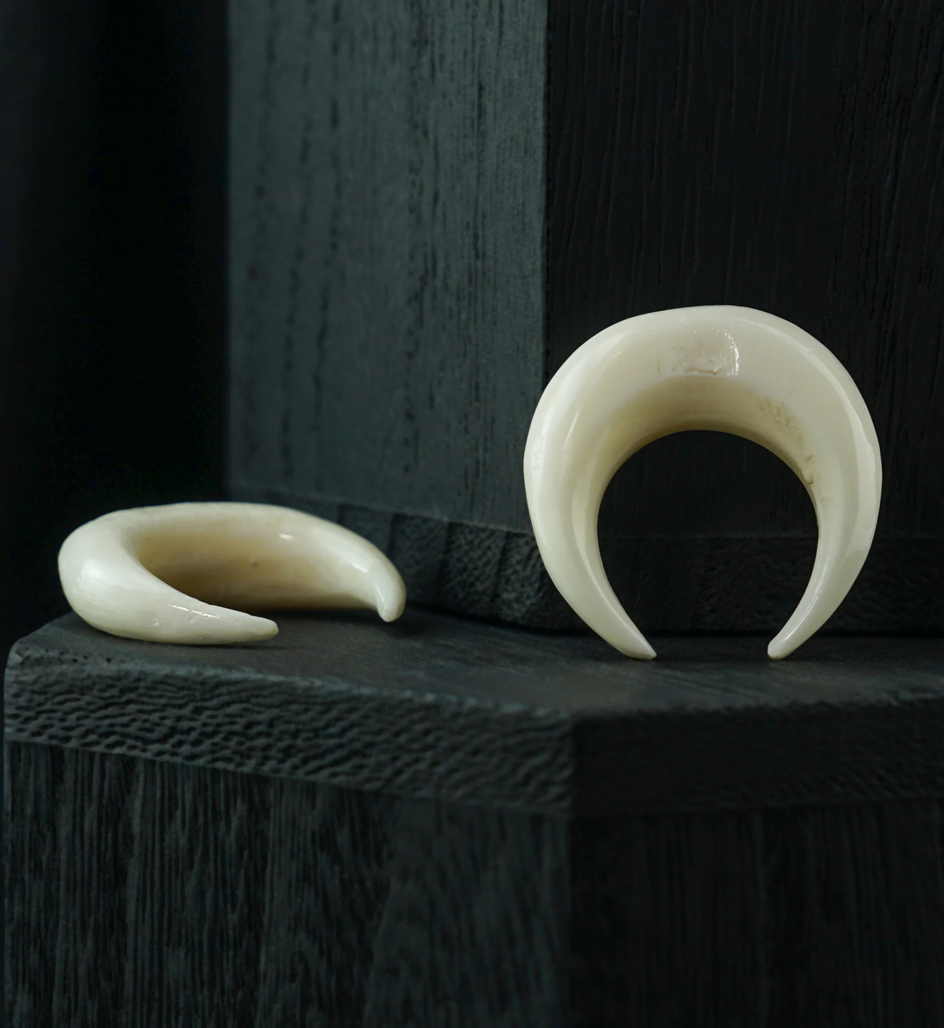 Solid Bone Pinchers - Image 2