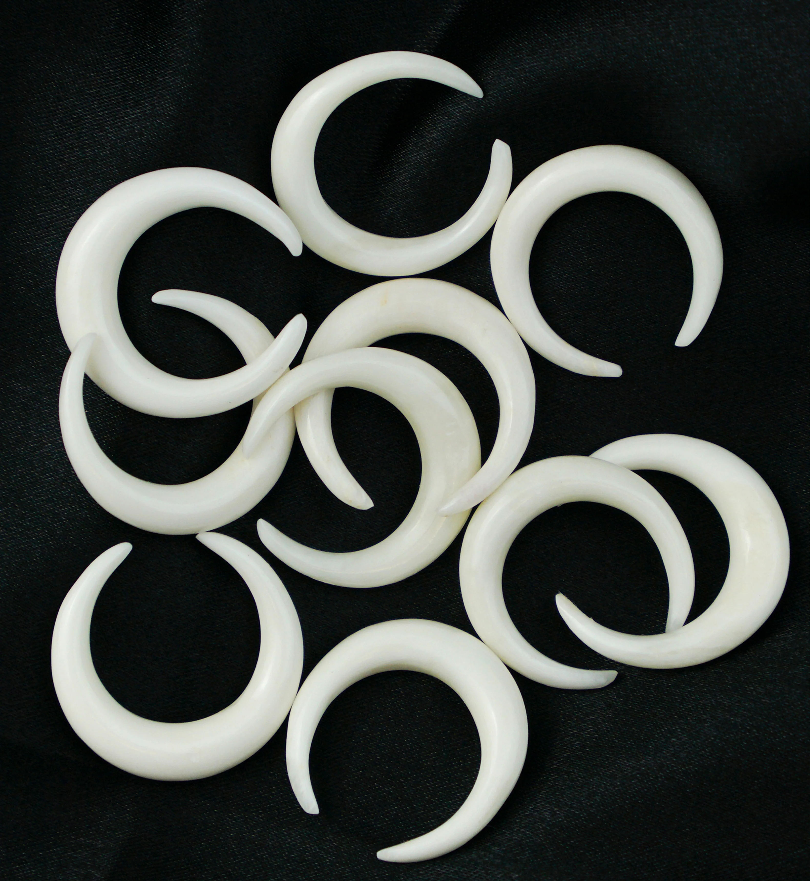 Solid Bone Pinchers - Image 4