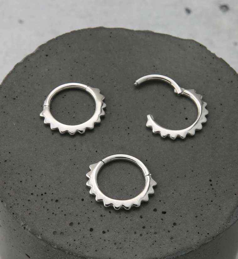 Spine Hinged Segment Ring - Image 2
