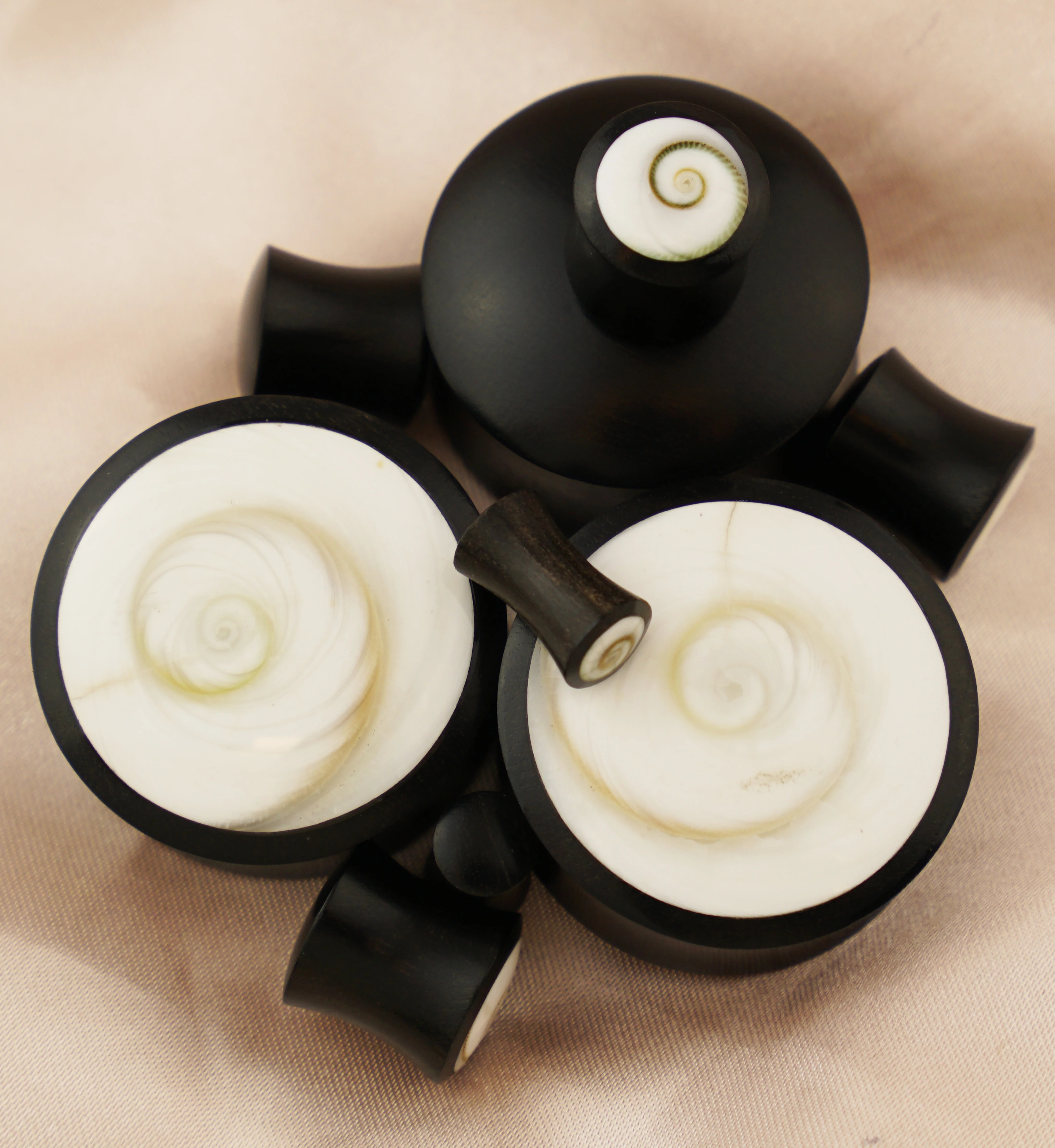 Spiral Sea Shell Inlay Wood Plugs - Image 2