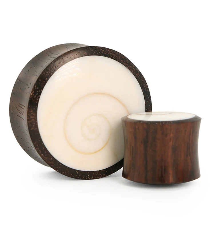 Spiral Sea Shell Inlay Wood Plugs - Image 4