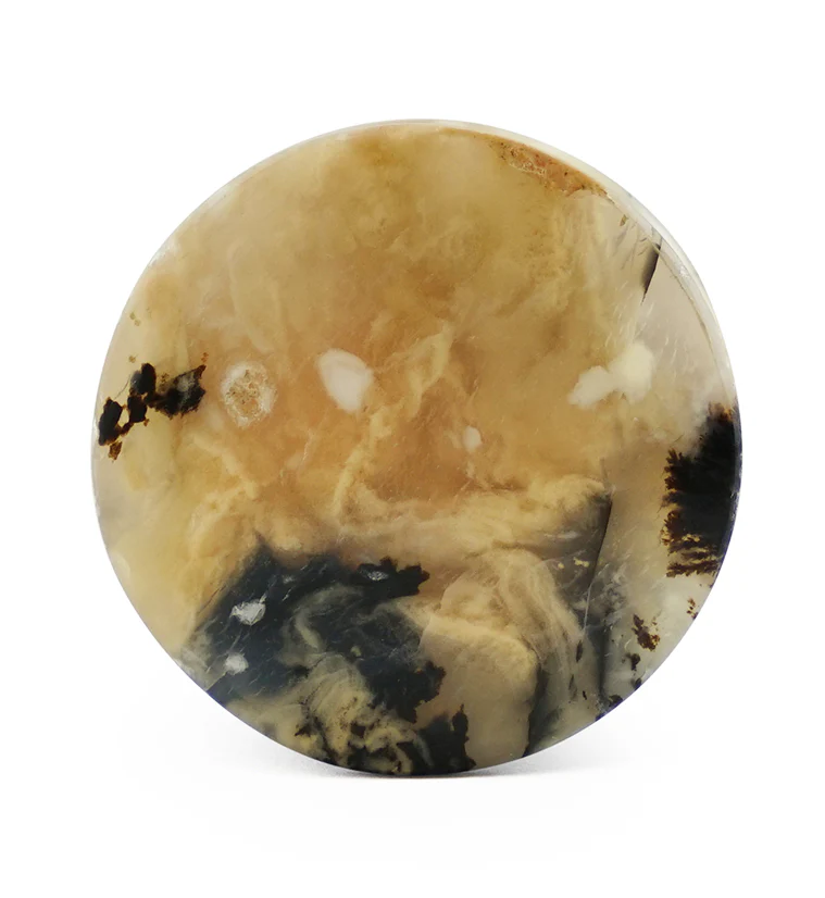 Tiger Agate Dendritic Stone Plugs - Image 9