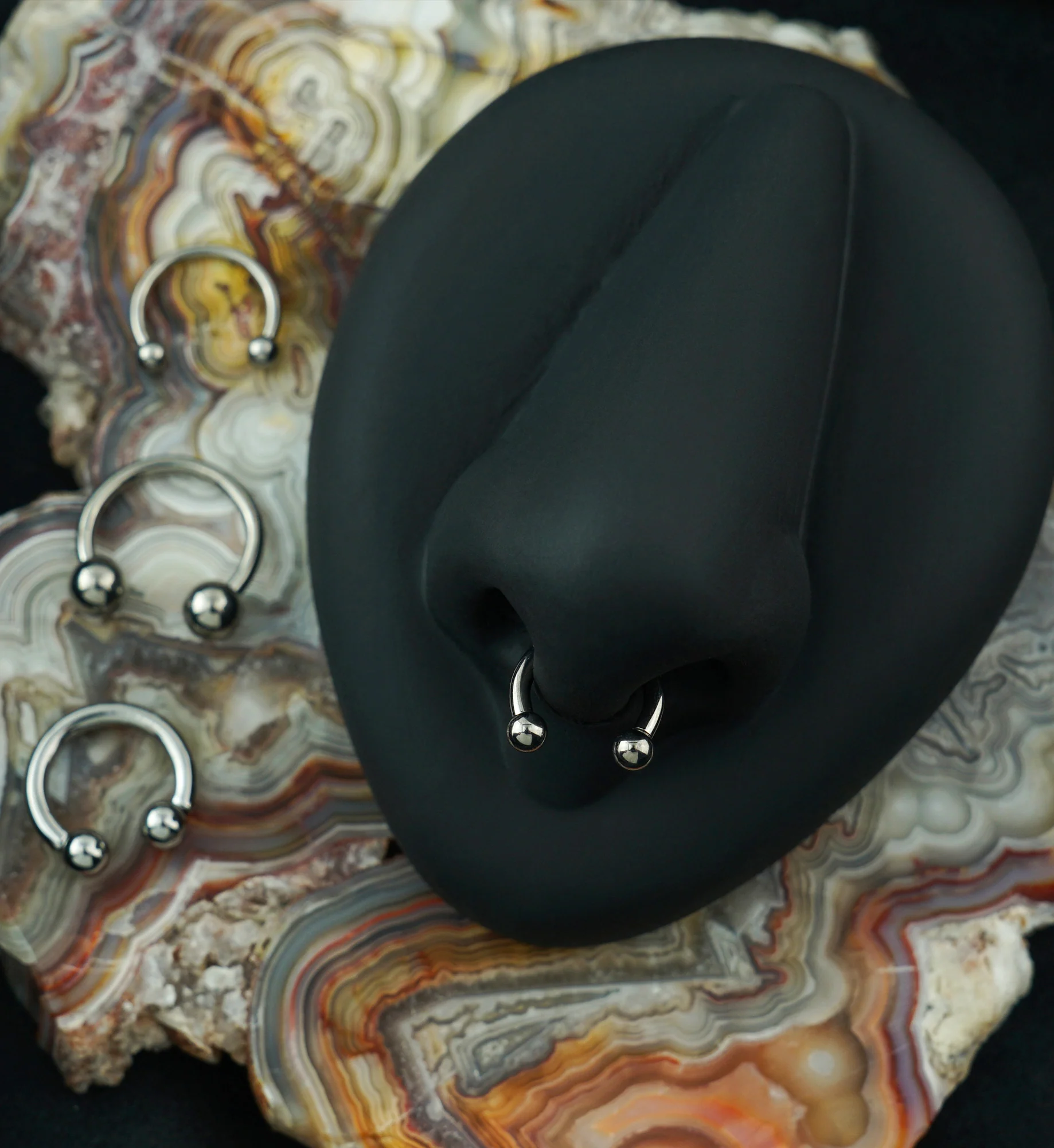 Titanium Circular Barbell - Image 2