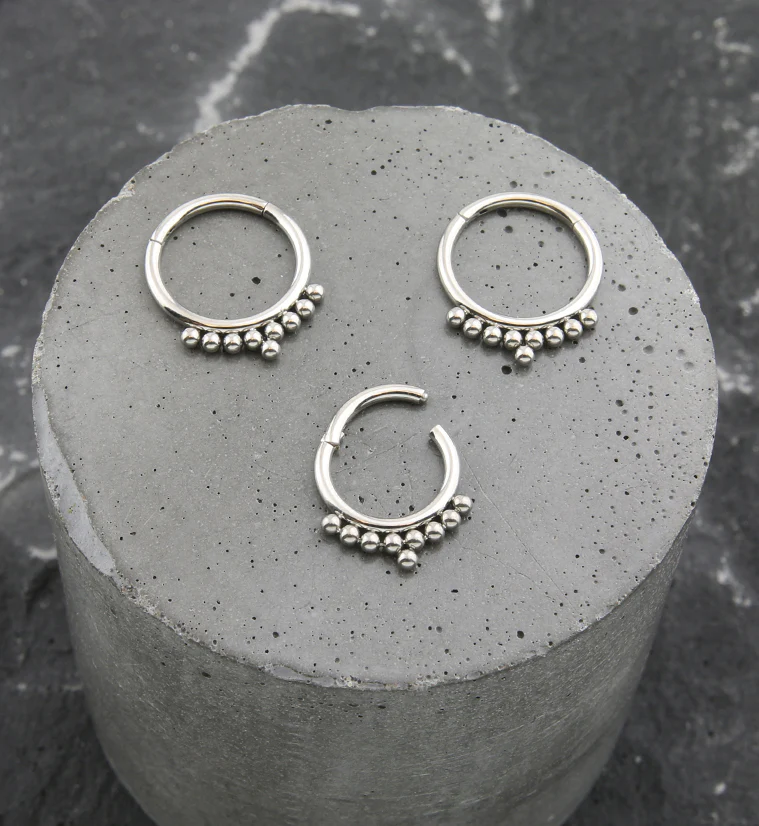 Titanium Fuse Hinged Segment Ring - Image 2