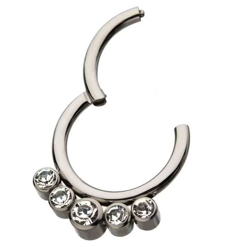 Titanium Hinged Multi CZ Segment Ring - Image 2