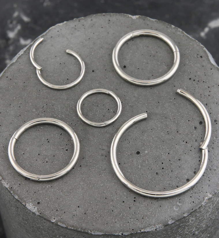 Titanium Hinged Segment Hoop Ring - Image 5