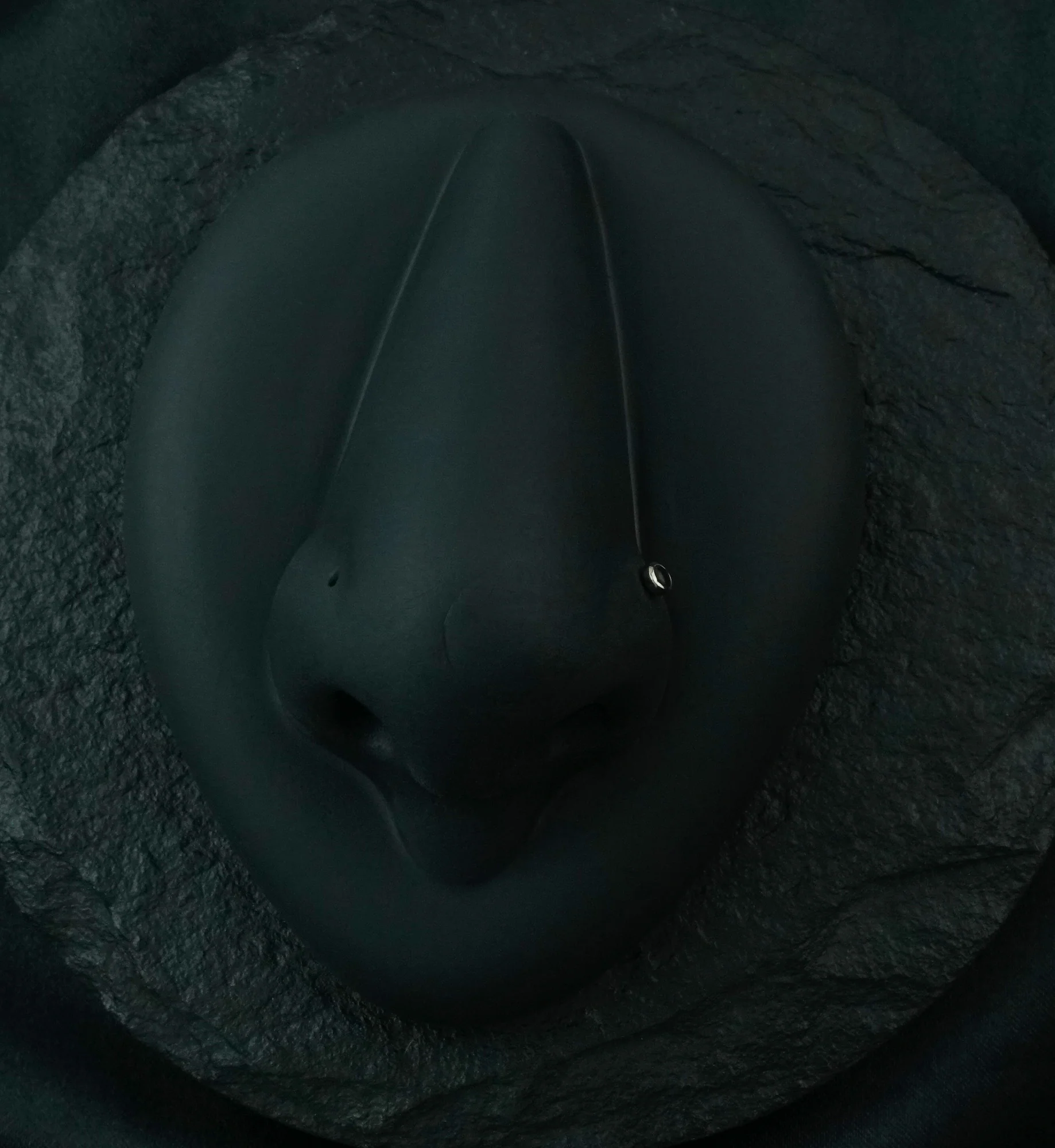 Titanium Nose Screw With Black Onyx Stone - Image 2