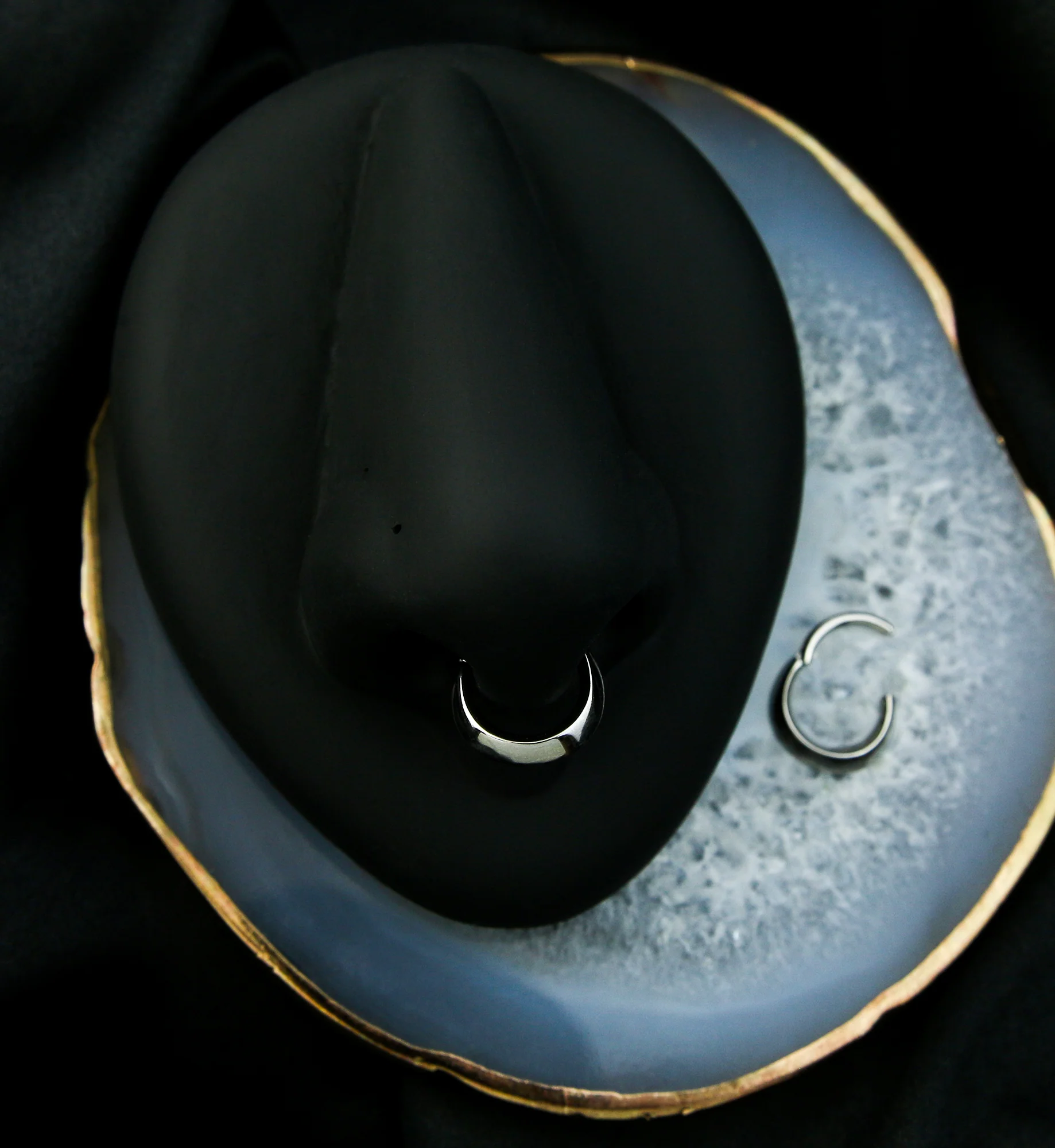 Vault Stainless Steel Hinged Segment Ring - Image 5