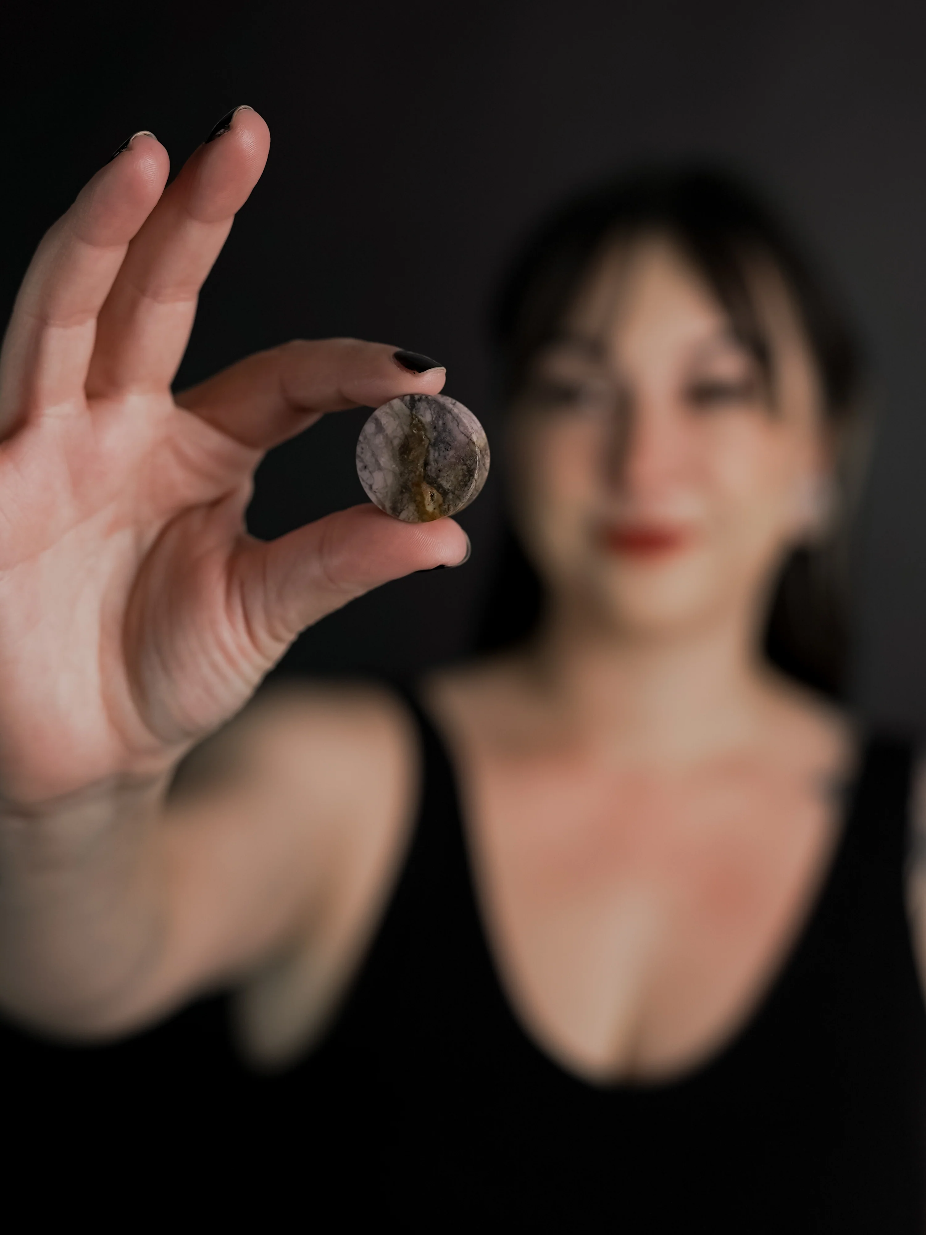 Willow Creek Jasper Stone Plugs - Image 8