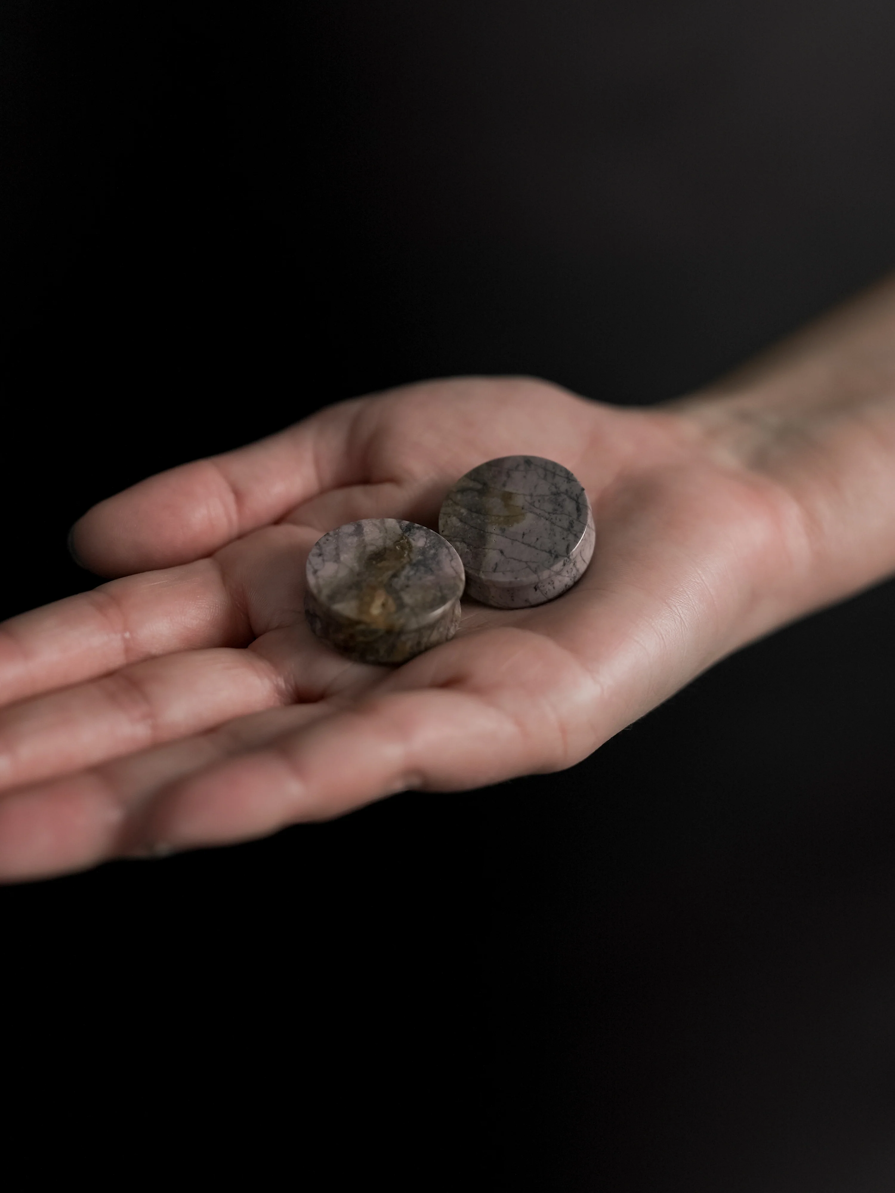Willow Creek Jasper Stone Plugs - Image 9