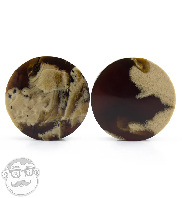 Zebra Amber Plugs - Image 9